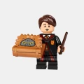 colhp2-16-71028-Neville-Longbottom-min.png