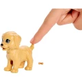 16e0d0ea86b1bf83289855af121f6d6b
