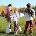 Tootiny Koń na kiju Hobby Horse HOPPIHORSE A4 Leopard - biały, maść tarantowata