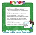 Rebel Gra BrainBox - Zwierzęta