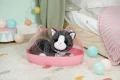 Zapf Maskotka interaktywna Baby Born Mój Kot Cookie z pudełkiem